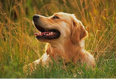 《三角符文》新敌人公开 制作人介绍